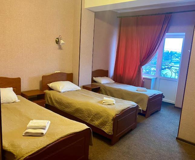 Golden Lion Hotel Boryspilʼ 외부 사진