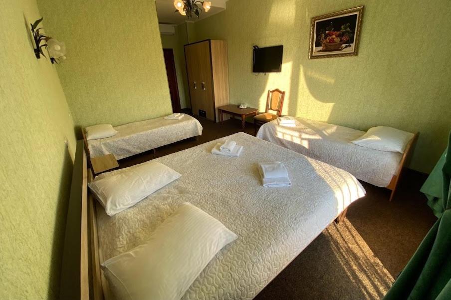 Golden Lion Hotel Boryspilʼ 외부 사진
