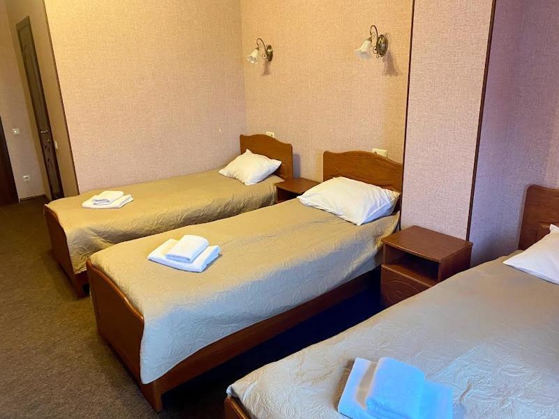 Golden Lion Hotel Boryspilʼ 외부 사진